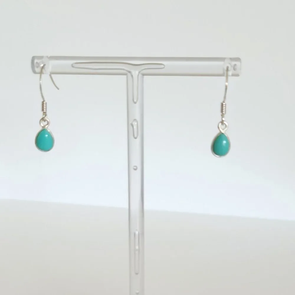 Sonoran Turquoise Earrings in Sterling Silver